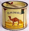 Camel Cigarettes (100)