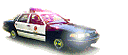 http://www.antiquecountrystore.com/graphics/lapd_car.gif