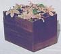 Walter Baker & Co. Cocoa Wood Box, Dovetail